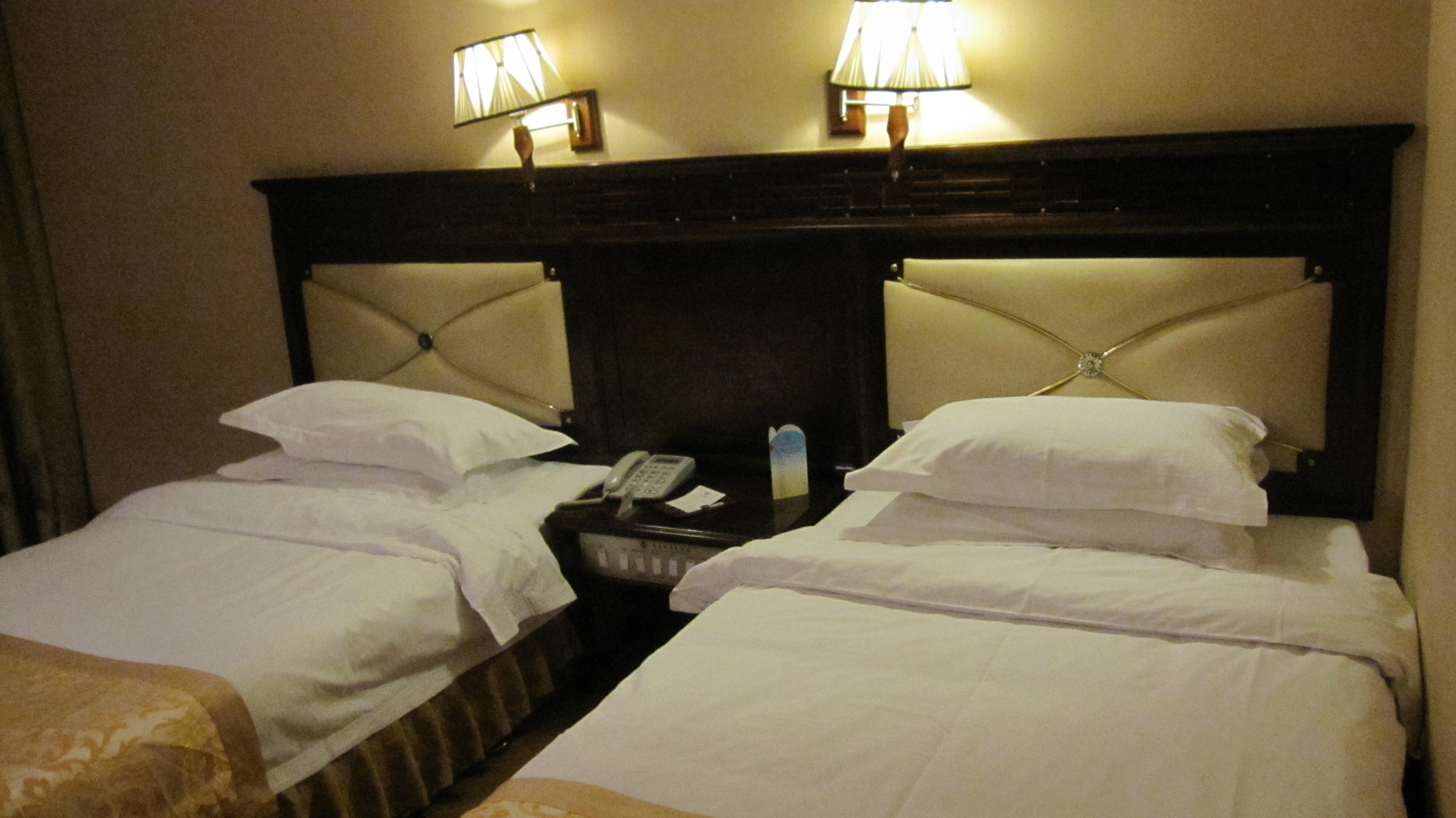 金星假日大酒店-官方