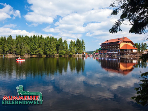 Seebach酒店住宿-Berghotel Mummelsee