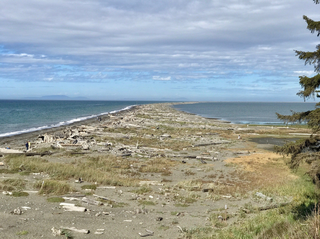 Dungeness National Wildlife Refuge景点图片