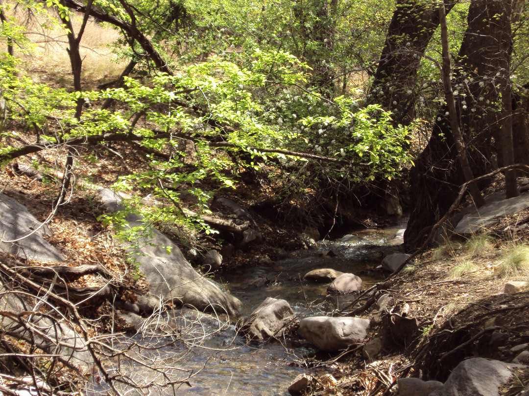 The Nature Conservancys Ramsey Canyon Preserve景点图片