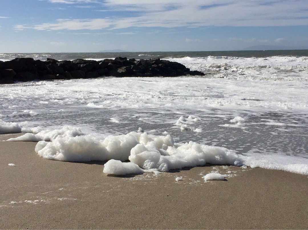 San Buenaventura State Beach景点图片