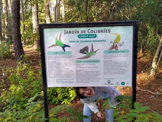 Carilo Golf-Carilo必去景点