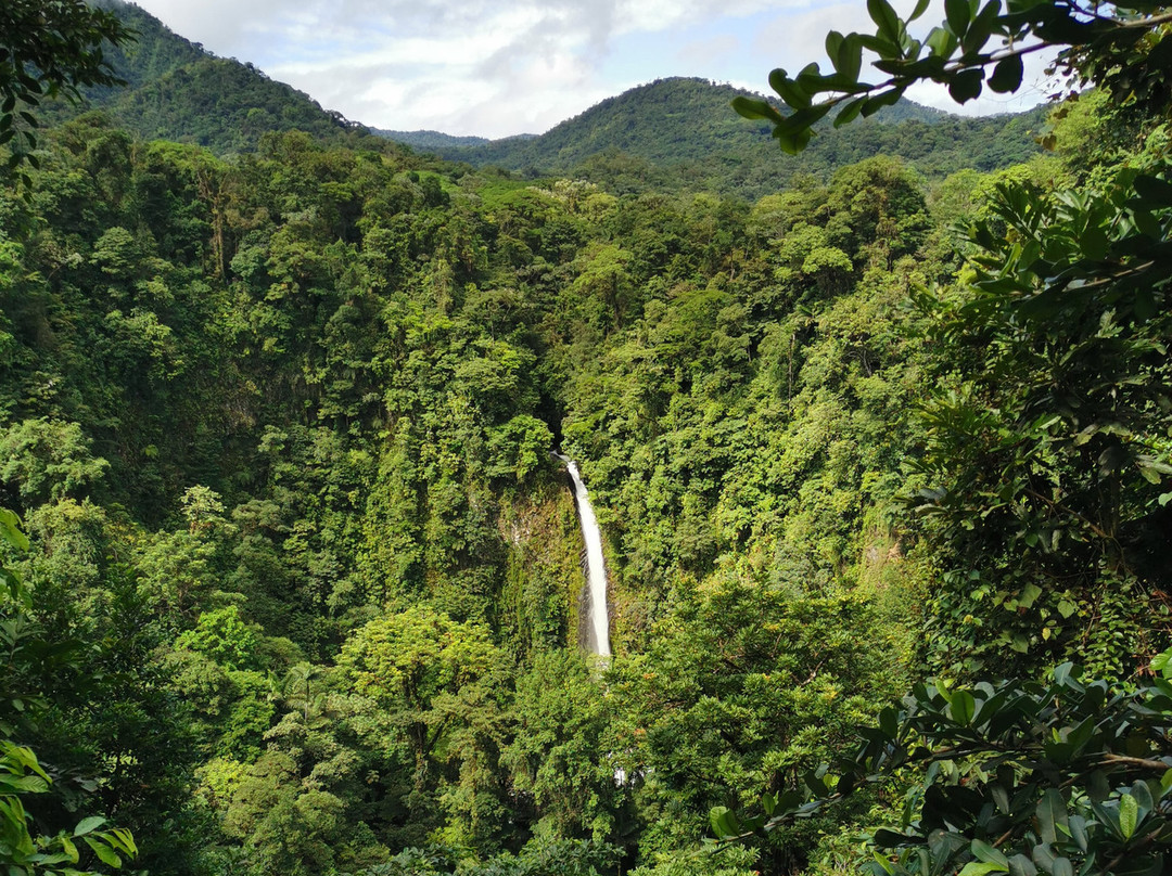 La Fortuna Waterfall景点图片