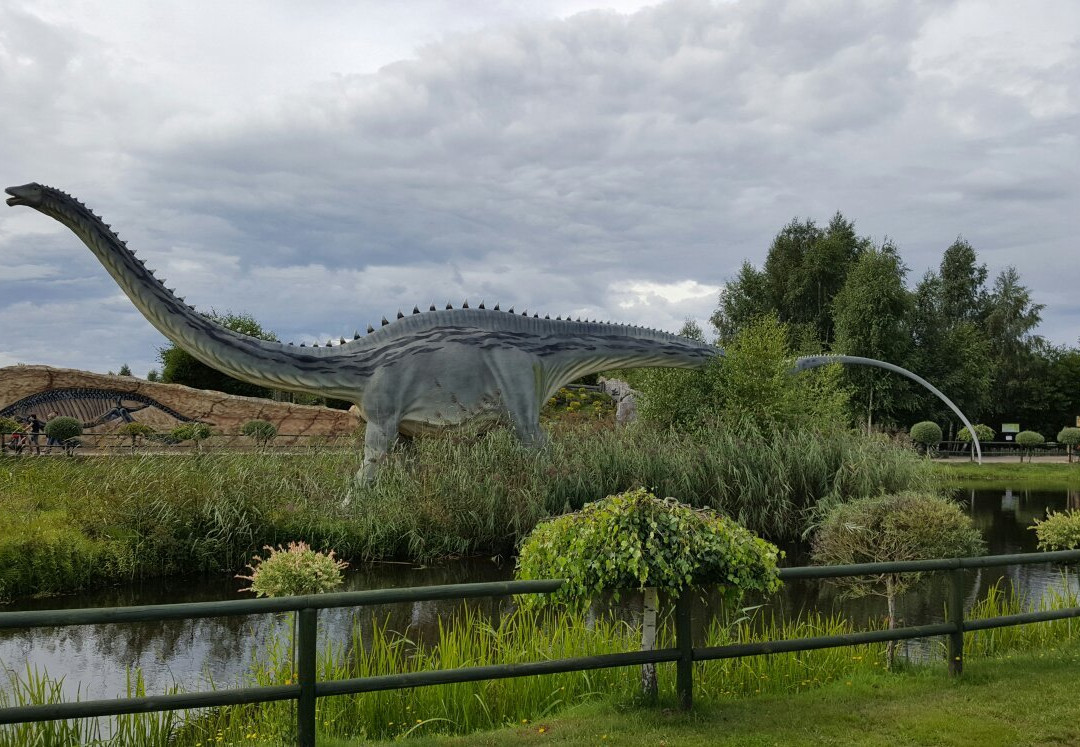 Park Dinozaurow景点图片