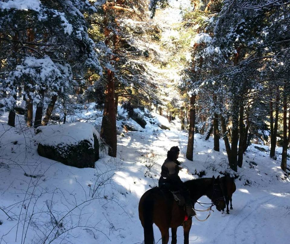 Horse Riding Madrid -Jarahonda