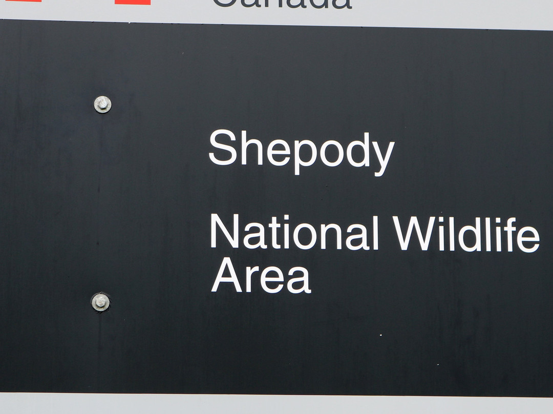 Shepody National Wildlife Area景点图片