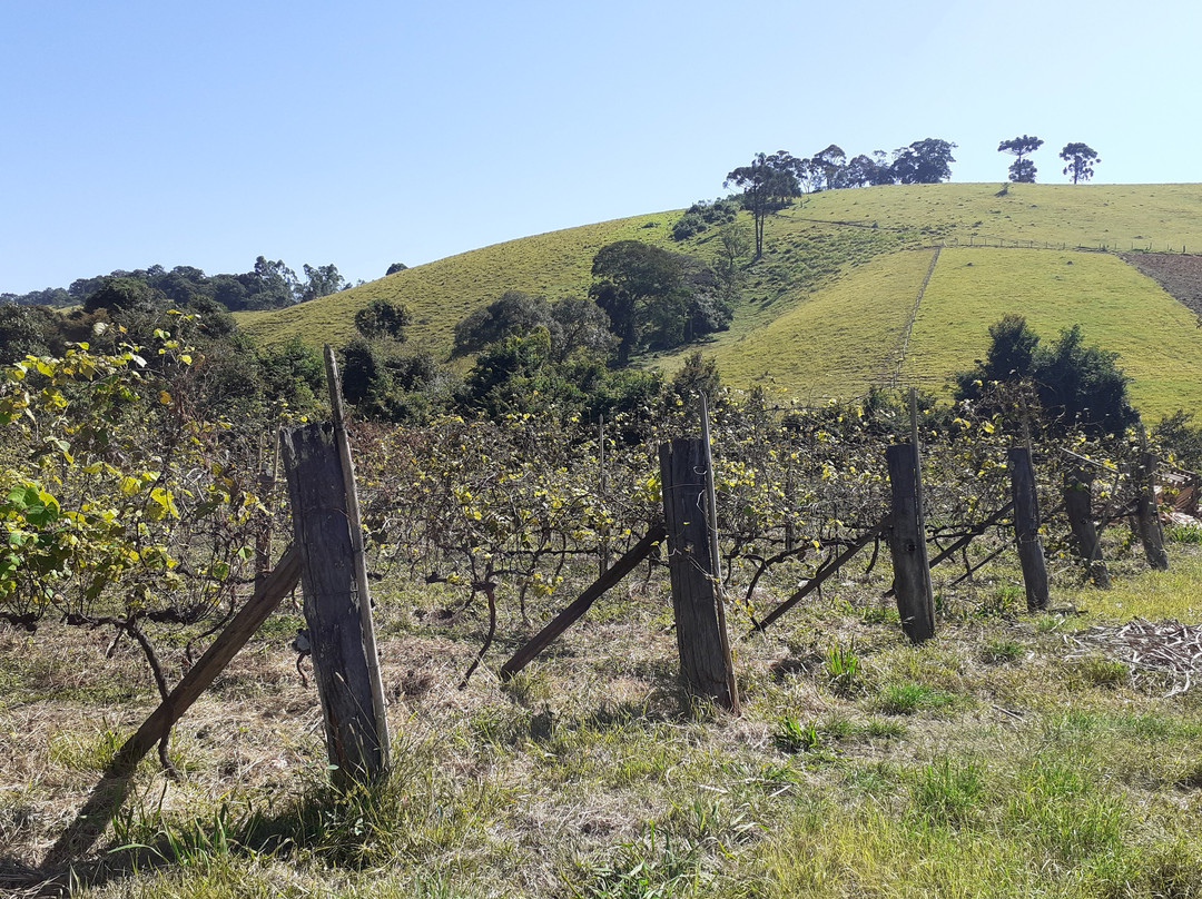 Alambique Quinta Benedito Cachaçaria e Vinícola