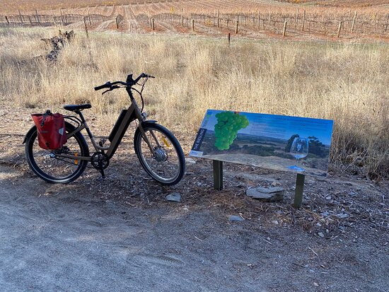 Riesling Trail Bike Hire景点图片