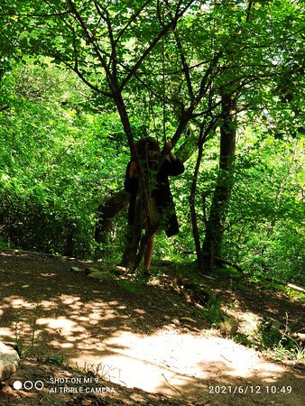 Bosco Delle Meraviglie景点图片