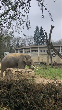 Zoo Ostrava景点图片