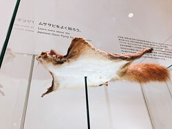 Takao 599 Museum-八王子市必去景点