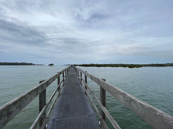 Urunga Wetlands Boardwalk景点图片