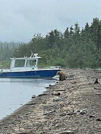 Silver Fin Lakefront Inn主图