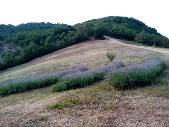 B&B Sulla Via degli Dei-官方