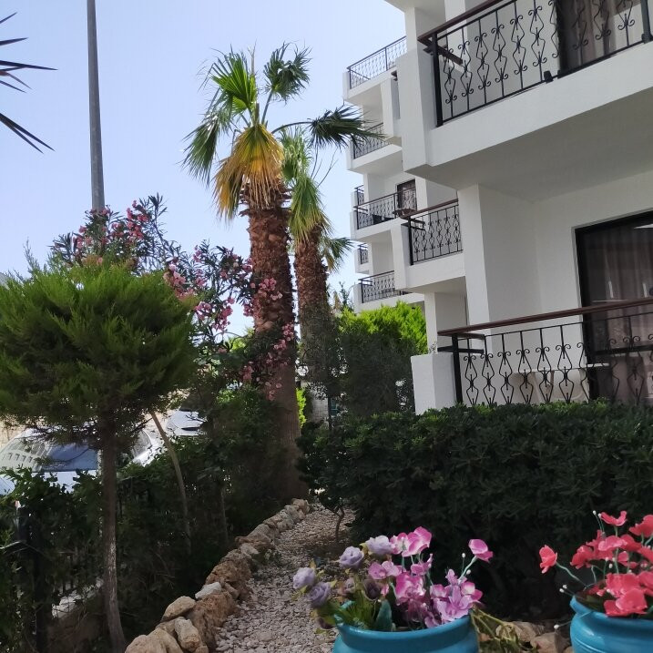Tuntas Suites Altınkum主图