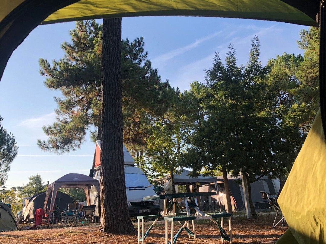 Camping Municipal Les Oyats