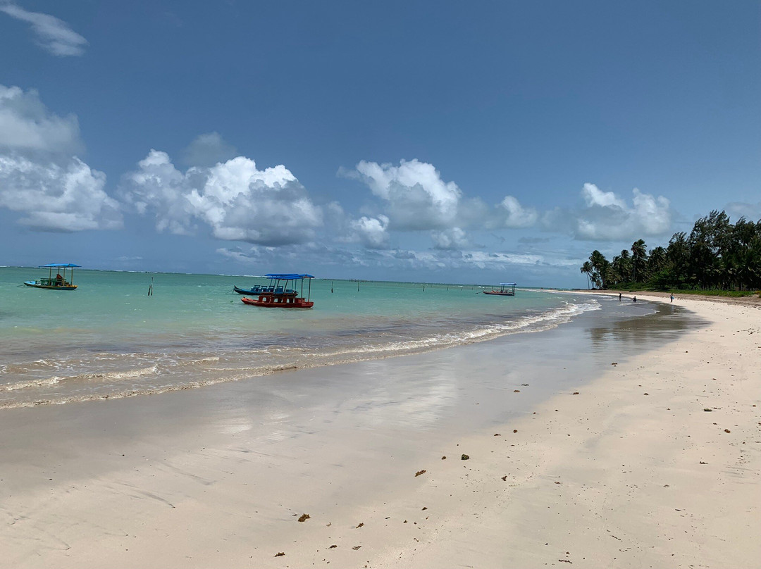 Ocacocar - Milagres主图