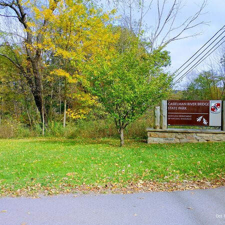 Casselman River Bridge State Park景点图片