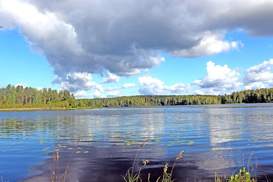 National Park Shhuchye Lake-Komarovo必去景点