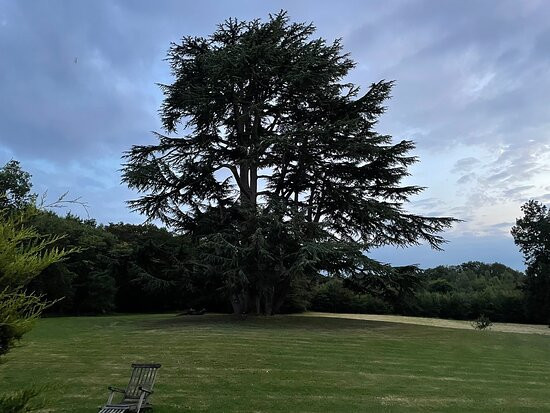 Chateau de Piolant主图