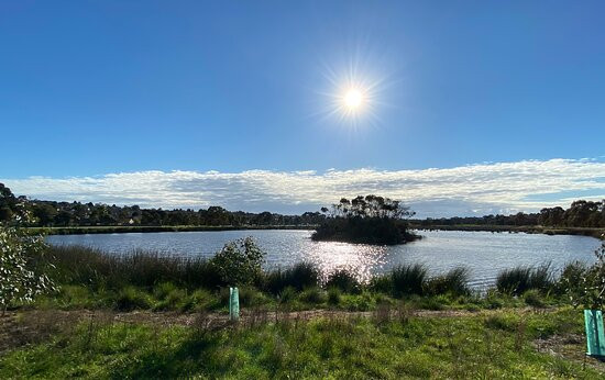 Frog Hollow Reserve景点图片