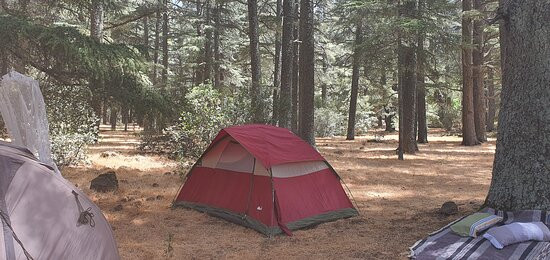 Morocco Unexplored - Private Day Tours-Azrou必去景点