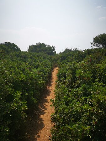 Oasi di Seu-卡布拉斯必去景点