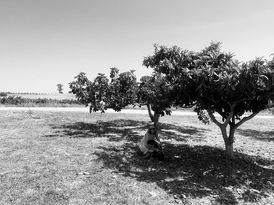 Masseria Cardillo主图