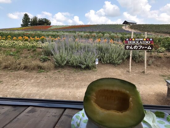 Kanno Firm-上富良野町必去景点