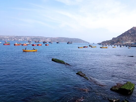 Caleta De Guayacán-Coquimbo必去景点