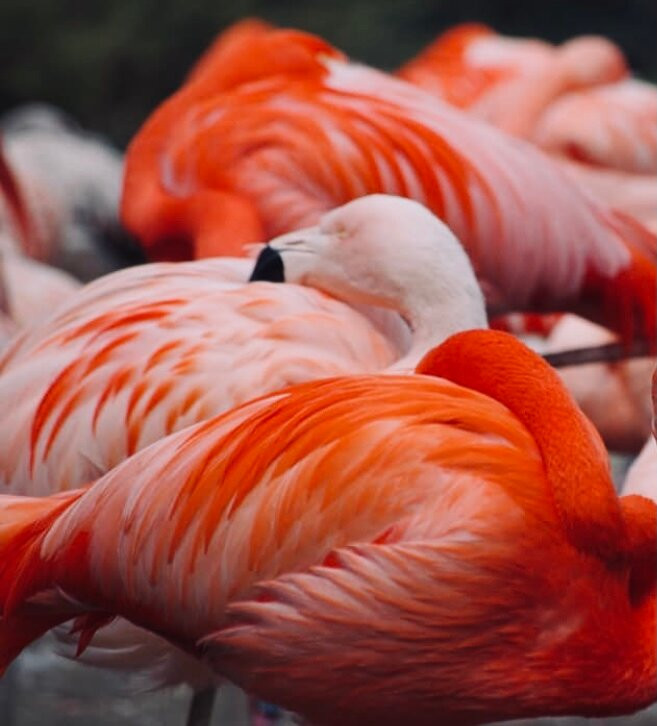 Chundikulam National Park
