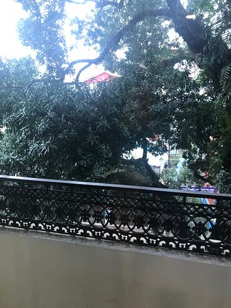 Hotel Yamuna-酒店景观