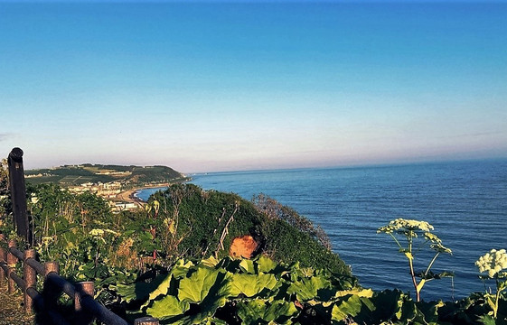 新冠郡旅游攻略图片