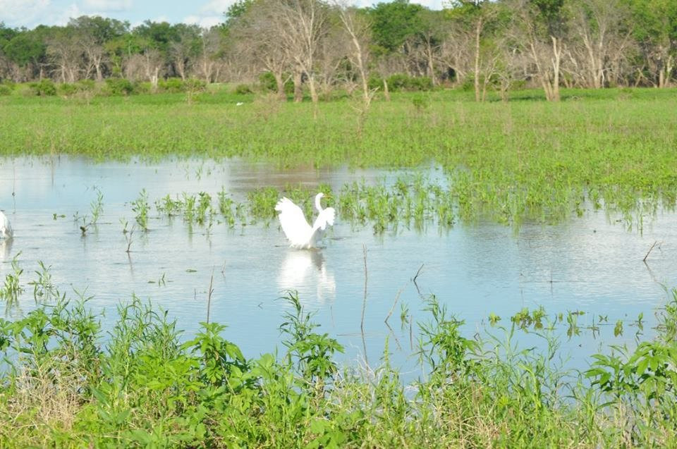 Sherman旅游攻略图片