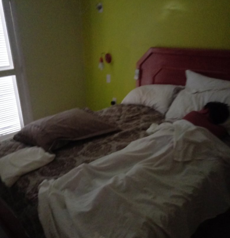 Hotel Parque Da Lagoa主图