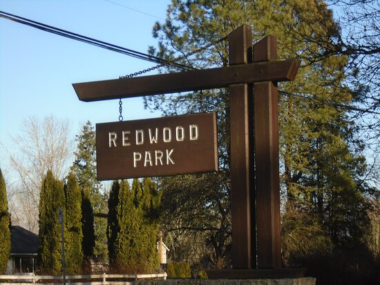 Redwood Park景点图片