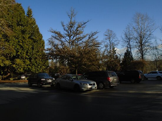 Redwood Park景点图片