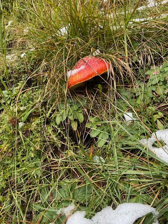 西瑟阿尔姆康帕特思酒店主图