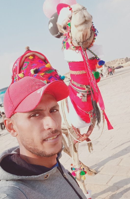 Pyramids Camel Ride-开罗必去景点