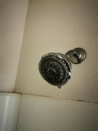 Super 8 by Wyndham Williams Lake BC主图