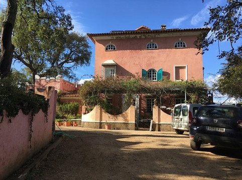 Finca Buenvino主图