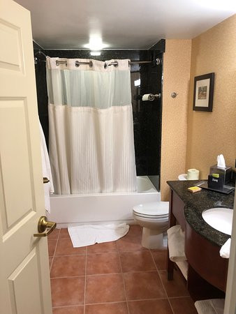 那不勒斯希尔顿逸林酒店主图