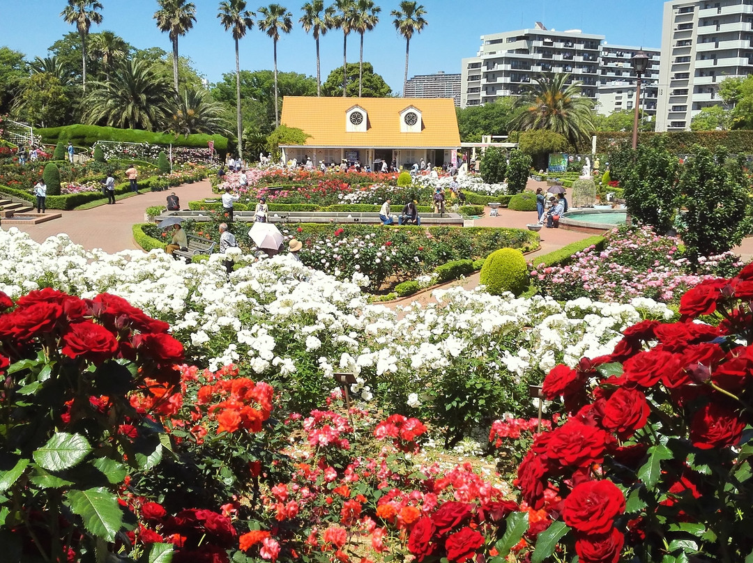 Yatsu Rose Garden-习志野市必去景点