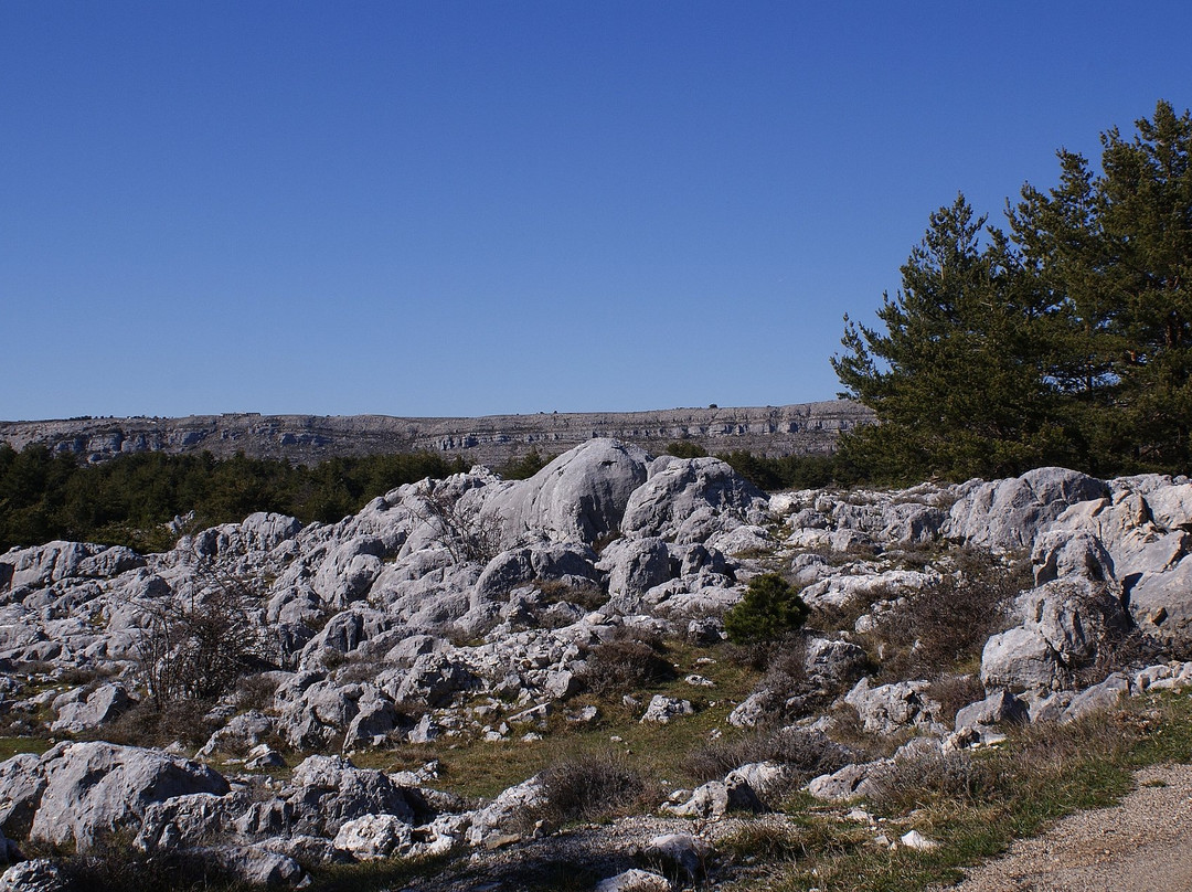 Plateau karstique de Caussols景点图片