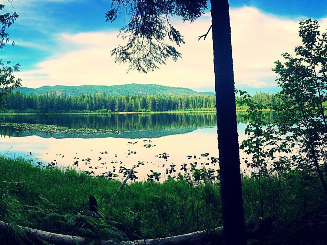 Sagle旅游攻略图片