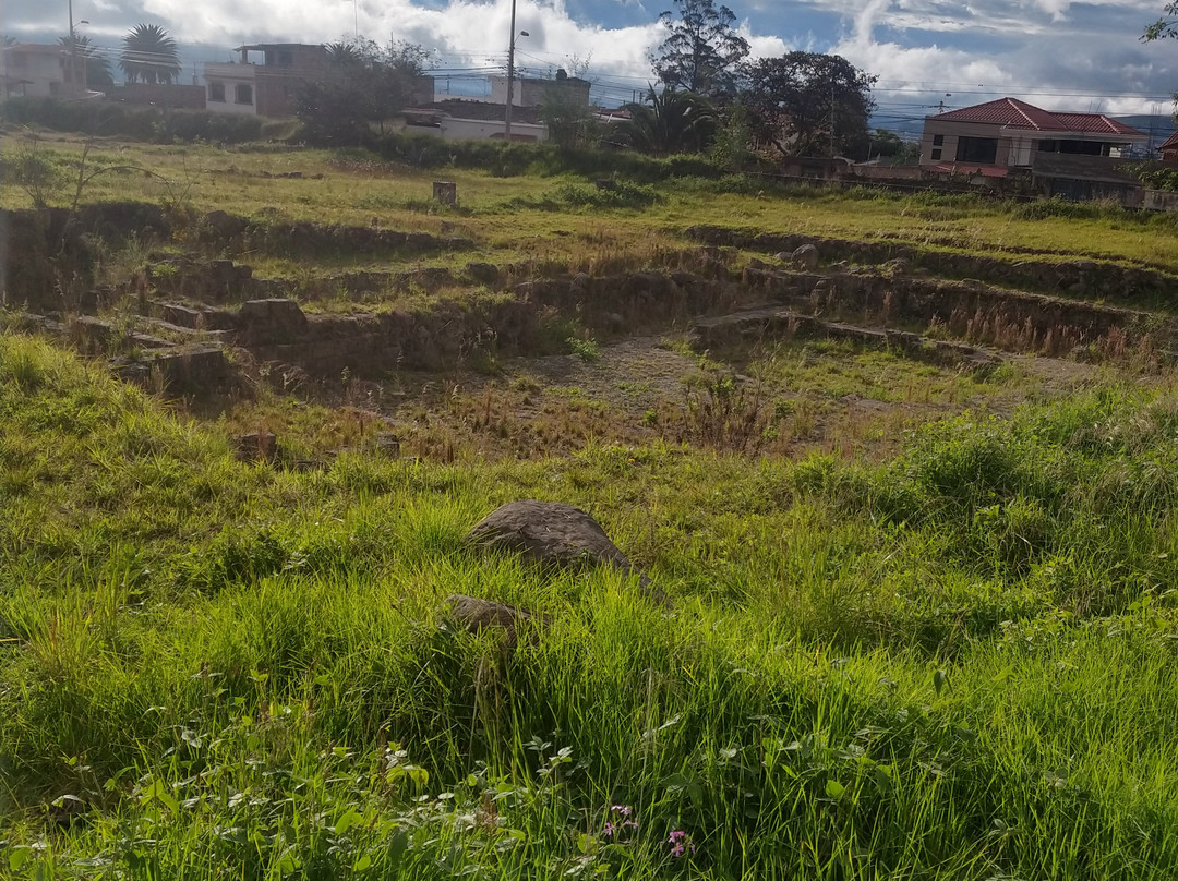 Ruinas del Inka Huasi景点图片