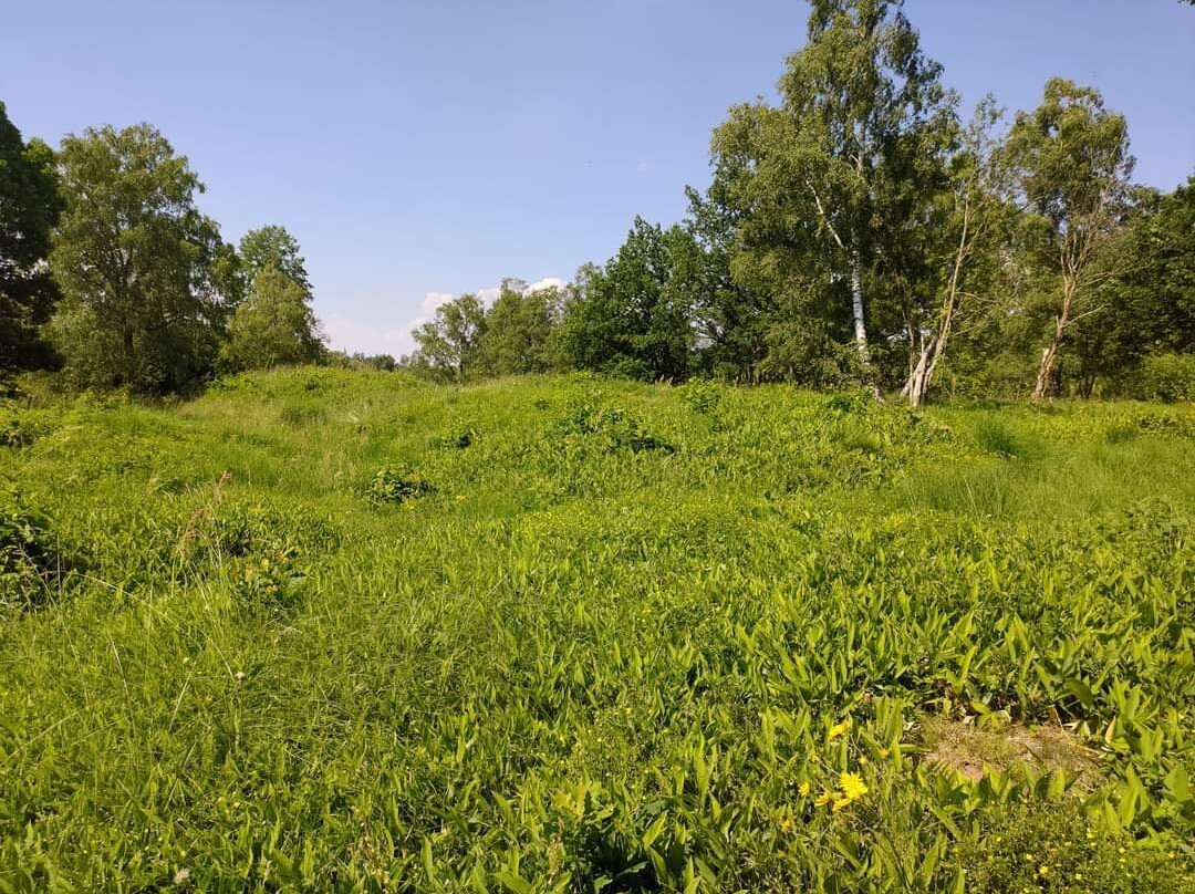 Replösa Gravfält-Ljungby必去景点