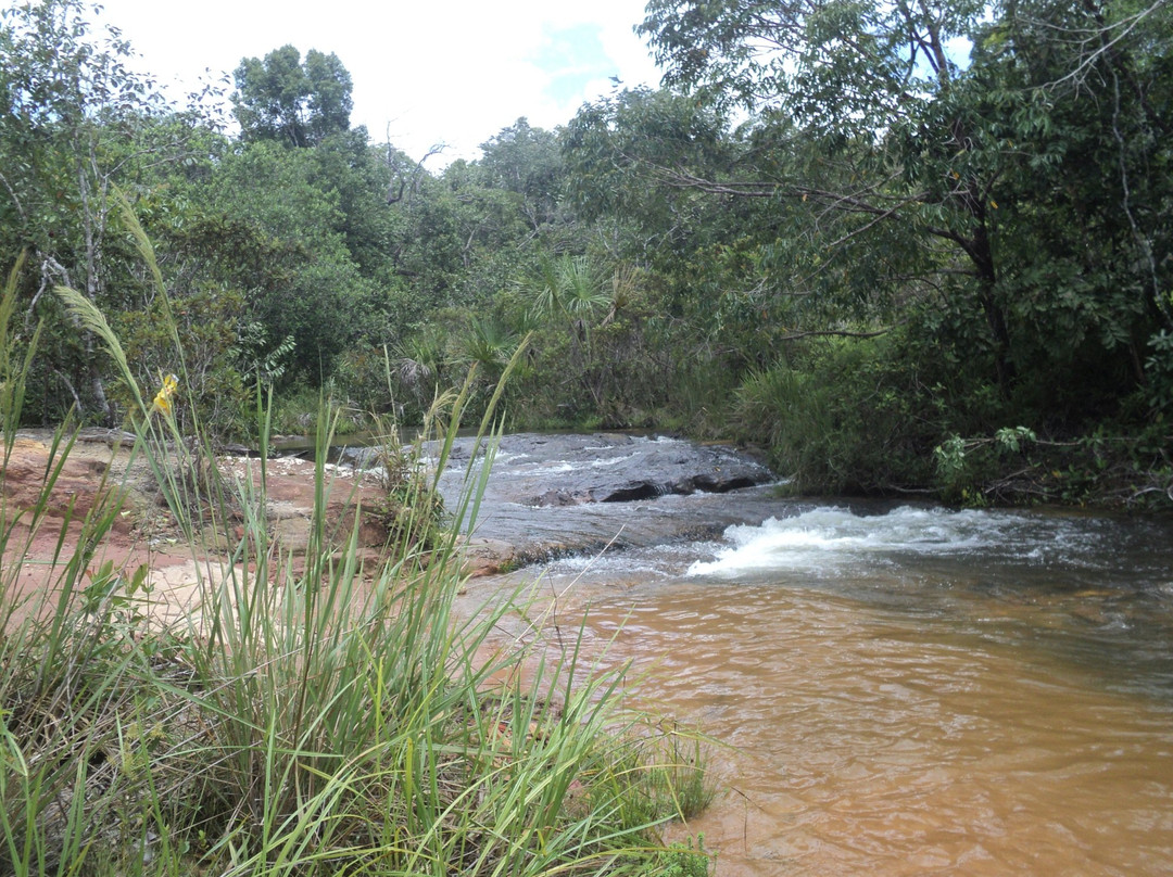 Pedro Afonso旅游攻略图片