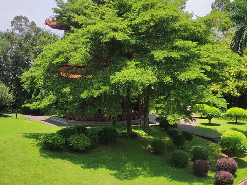 莲花塔-广州市必去景点