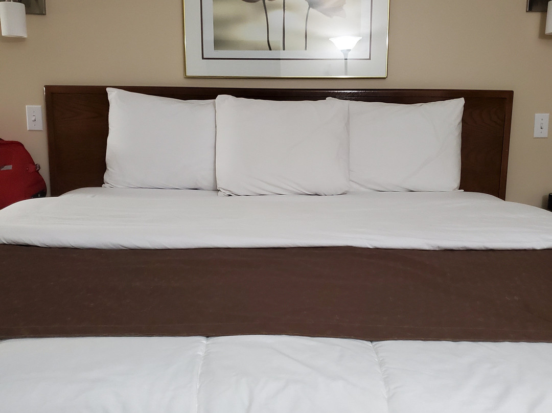 Lower South River旅游攻略图片